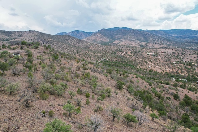 100 Fairview Pt, Fort Davis, TX 79734