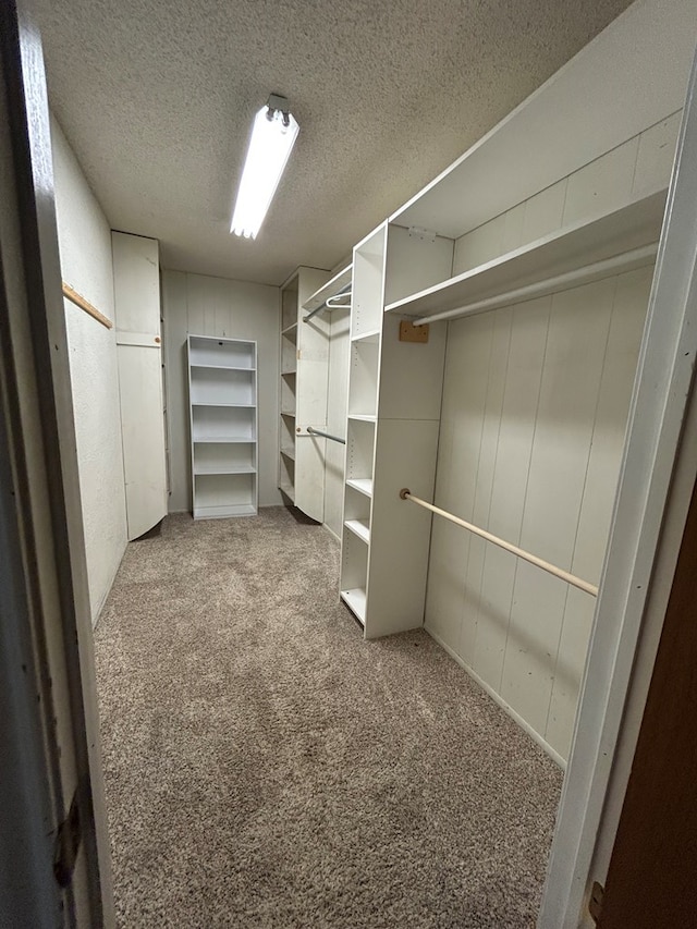 walk in closet featuring carpet floors