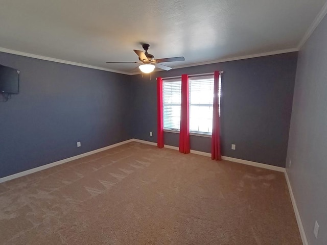 402 W Court Ave, Fort Davis, TX 79734 - photo 30