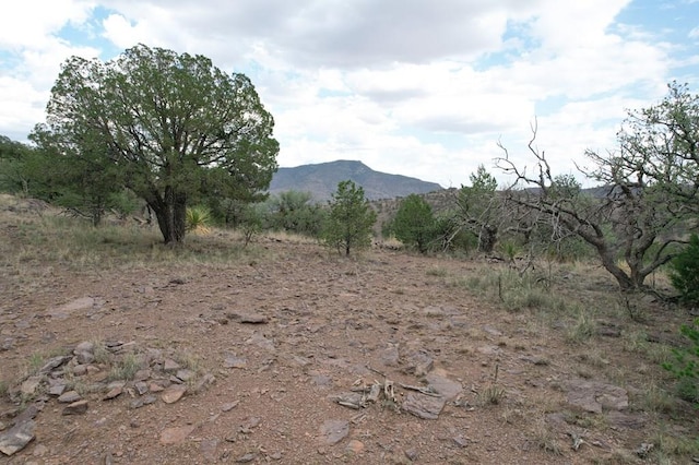 325 High Lonesome, Fort Davis TX, 79734 land for sale