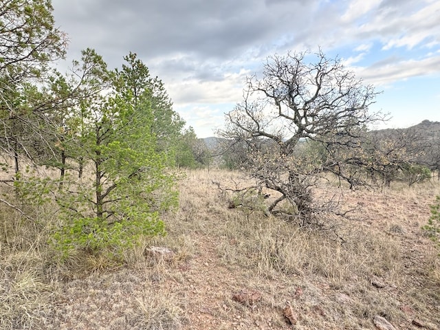 Listing photo 3 for 325 High Lonesome, Fort Davis TX 79734