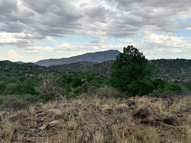 Listing photo 2 for 325 High Lonesome, Fort Davis TX 79734