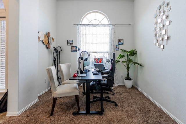 office space with carpet floors