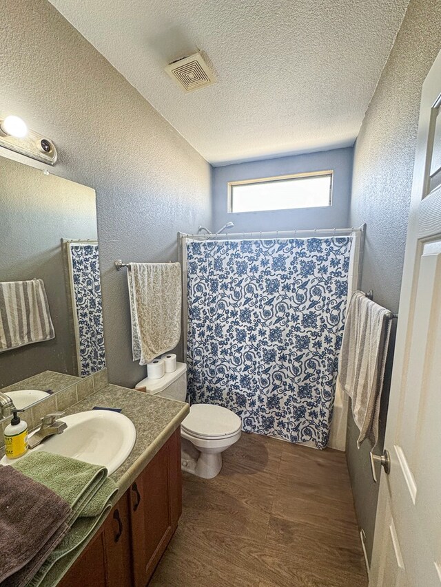 1500 Rancho Rd, Presidio, TX 79845 - bathroom with vanity, wood finished floors, toilet, a textured wall, and a textured ceiling