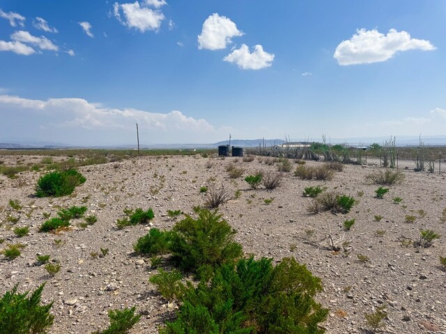1500 Rancho Rd, Presidio, TX 79845 - view of yard