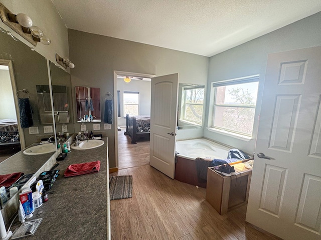 1500 Rancho Rd, Presidio, TX 79845 - ensuite bathroom featuring wood finished floors, double vanity, a garden tub, and a textured ceiling