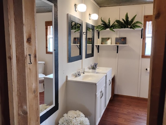 bathroom featuring vanity, toilet, and wood finished floors