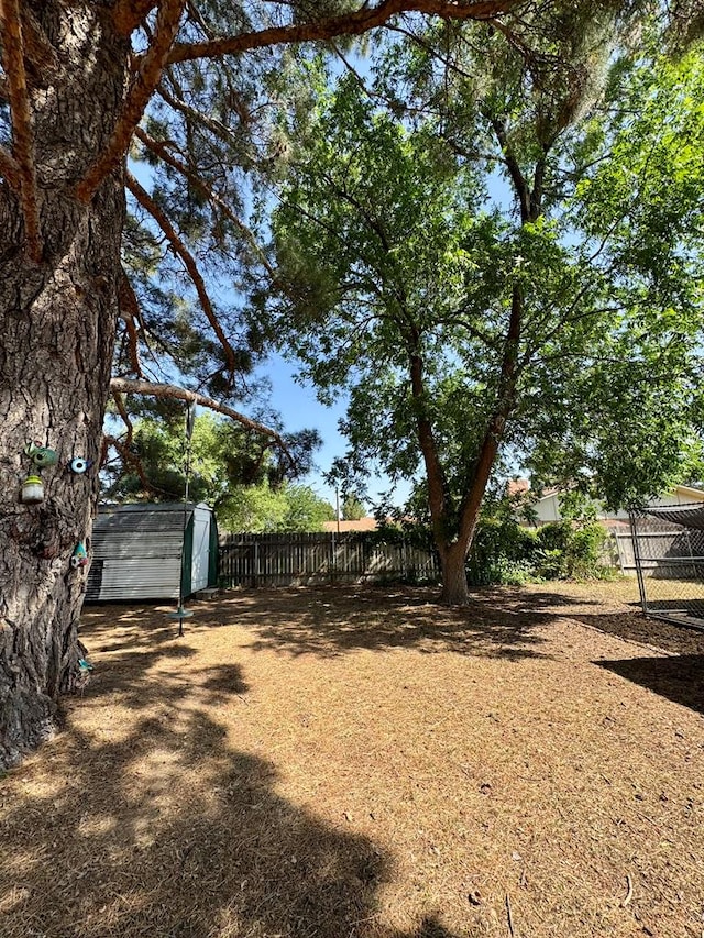 2003 N Enfield Rd, Alpine, TX 79830 - view of fenced backyard
