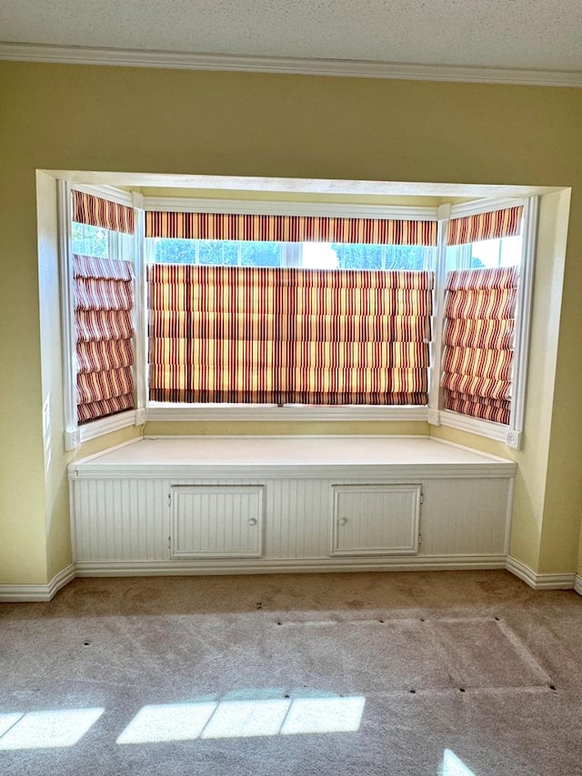 2003 N Enfield Rd, Alpine, TX 79830 - empty room with carpet, crown molding, baseboards, and a textured ceiling