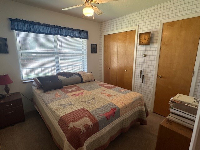 1013 Peachtree Cir, Alpine, TX 79830 - bedroom with multiple windows, carpet flooring, ceiling fan, and a closet