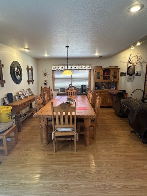1013 Peachtree Cir, Alpine, TX 79830 - dining area with light wood finished floors and a textured ceiling