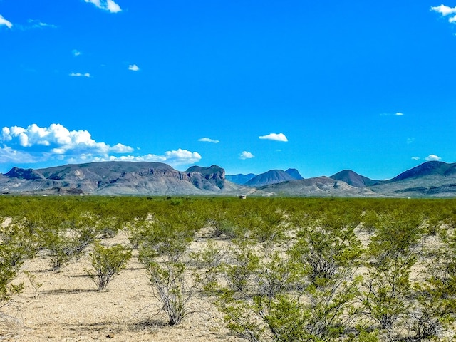 Listing photo 2 for 19898 Este Rd, Terlingua TX 79852