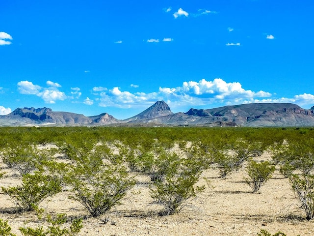 19898 Este Rd, Terlingua TX, 79852 land for sale