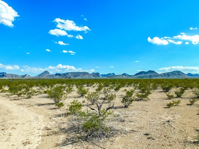 Listing photo 3 for 19898 Este Rd, Terlingua TX 79852