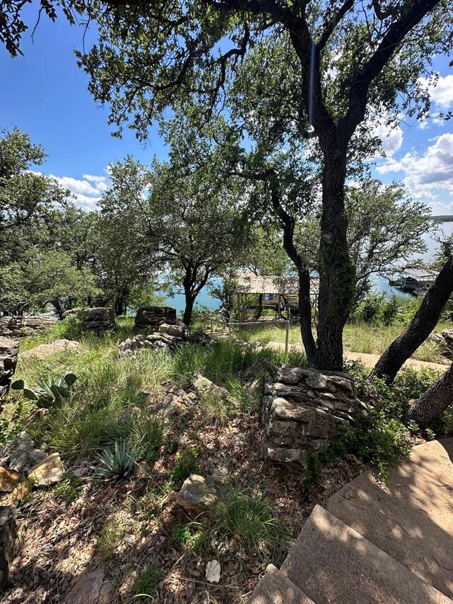 572 Oak Point Dr, Lake Brownwood, TX 76857 - photo 90