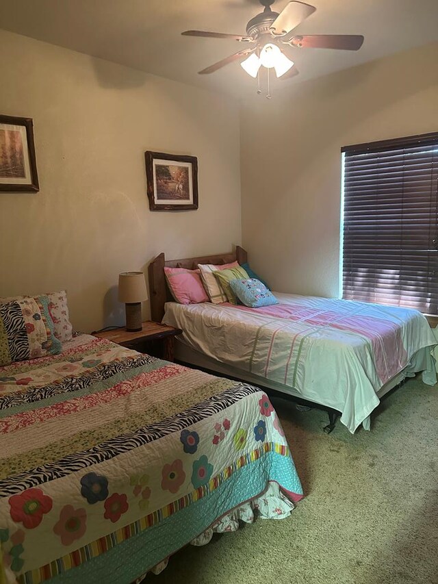 572 Oak Point Dr, Lake Brownwood, TX 76857 - photo 80
