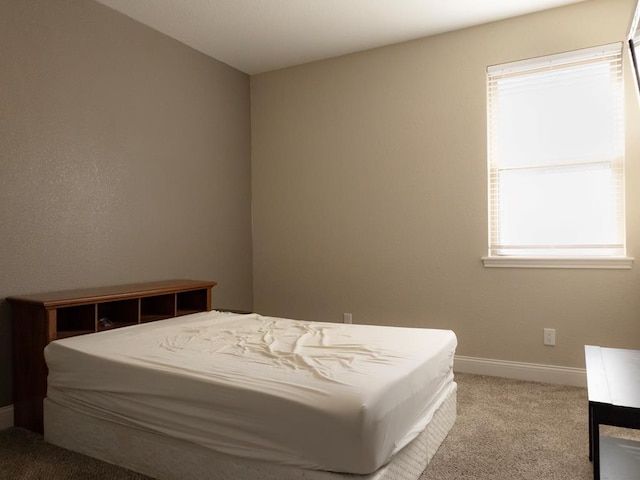 bedroom featuring carpet