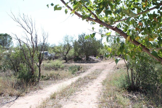 819 Webster Ave, Fort Davis, TX 79734 - photo 59