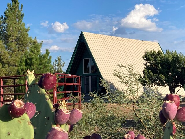 819 Webster Ave, Fort Davis, TX 79734 - photo 36
