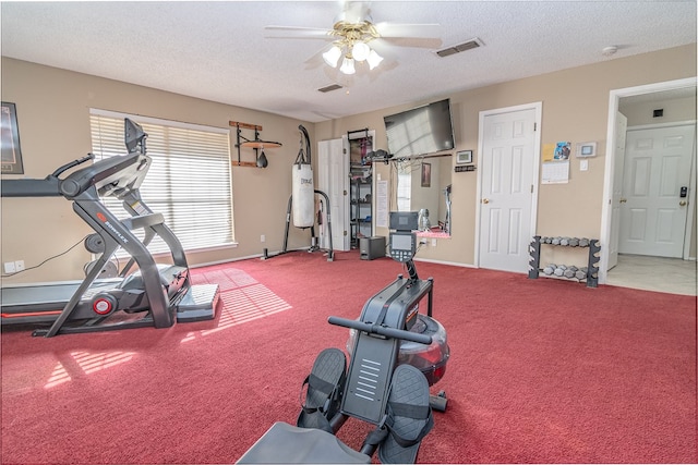 4905 Pepperidge Pl, Odessa, TX 79762 - photo 24