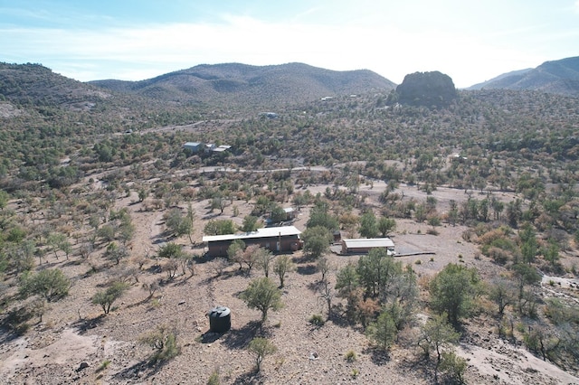 303 Squaw Valley Trl, Fort Davis, TX 79734 - view of mountain backdrop