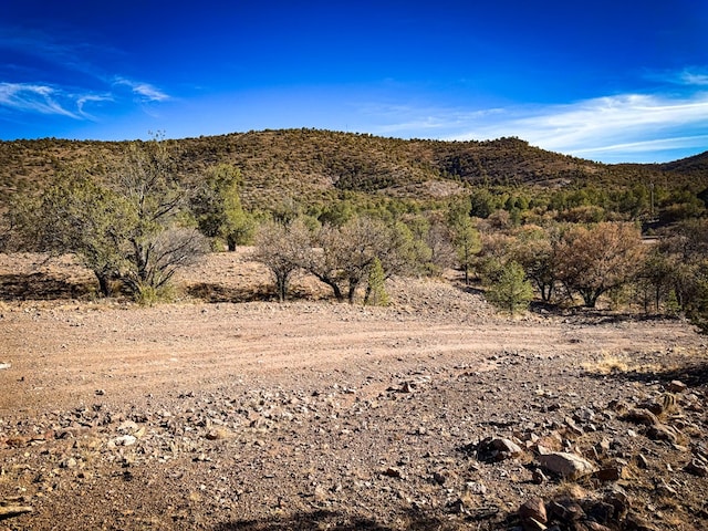 303 Squaw Valley Trl, Fort Davis, TX 79734 - view of mountain background