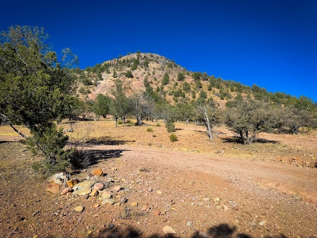 303 Squaw Valley Trl, Fort Davis, TX 79734 - view of mountain backdrop featuring rural landscape