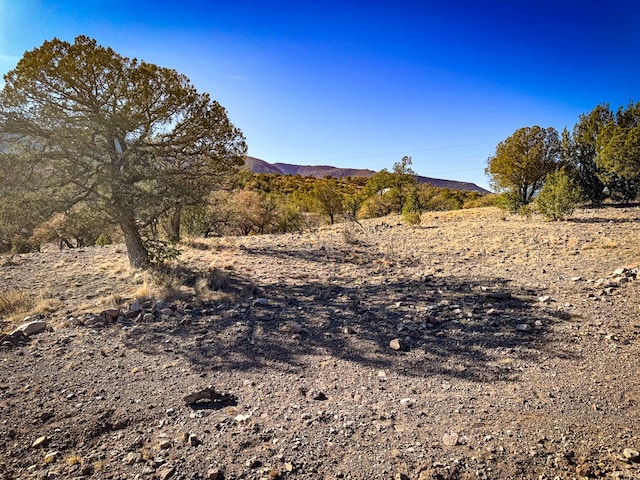 303 Squaw Valley Trl, Fort Davis, TX 79734 - mountain view
