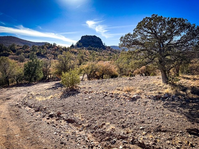 303 Squaw Valley Trl, Fort Davis, TX 79734 - view of mountain backdrop