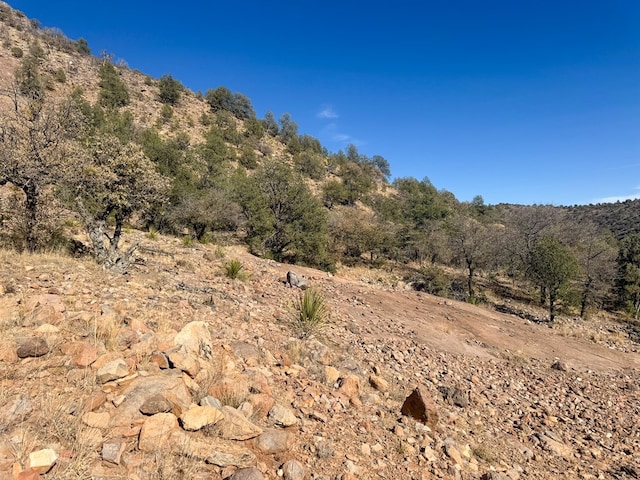 303 Squaw Valley Trl, Fort Davis, TX 79734 - view of undeveloped land