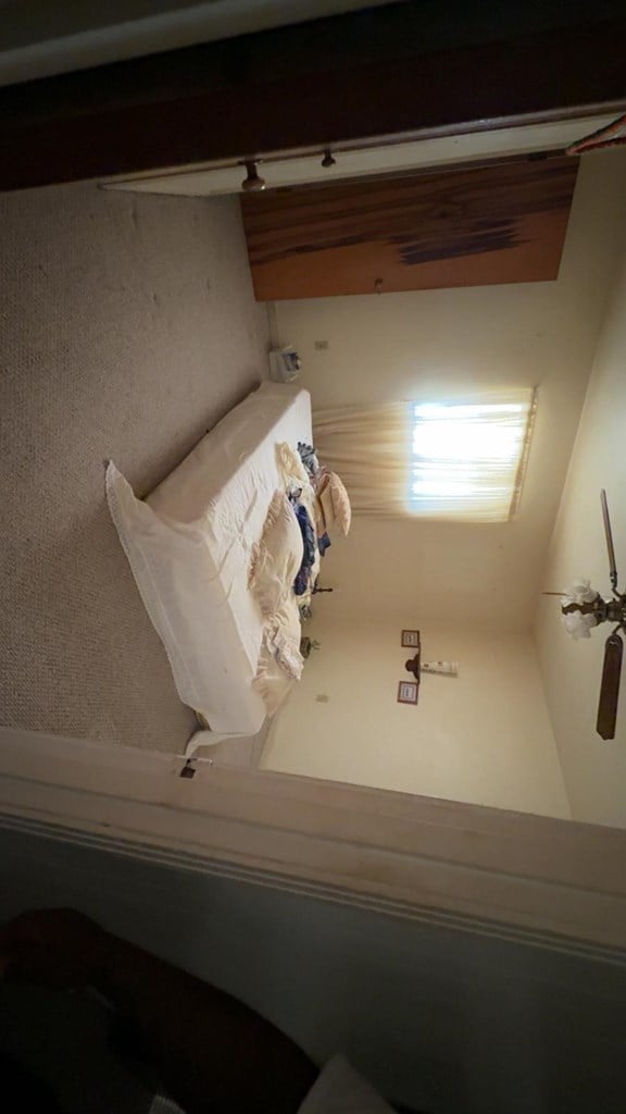 1408 Emerson Ave, Mccamey, TX 79752 - bathroom featuring a shower