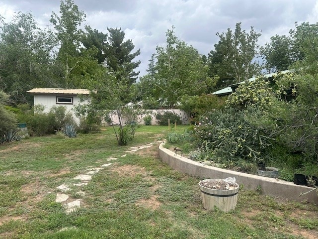 407 N Phelps St, Alpine, TX 79830 - view of yard featuring an outdoor structure