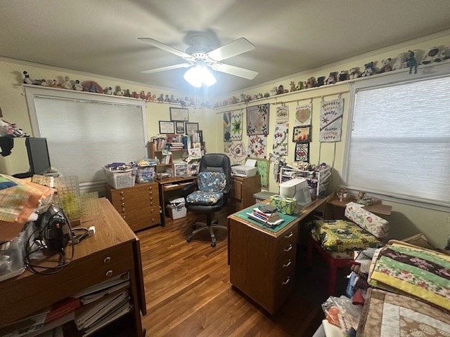 407 N Phelps St, Alpine, TX 79830 - home office with ceiling fan and wood finished floors
