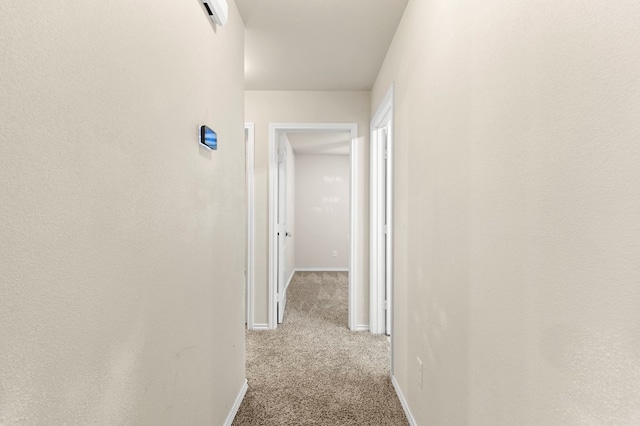 304 E 94th St, Odessa, TX 79765 - hallway with carpet flooring and baseboards