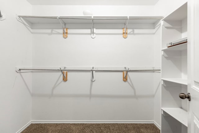 304 E 94th St, Odessa, TX 79765 - walk in closet featuring carpet
