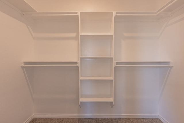 309 S Hancock Ave, Odessa, TX 79761 - view of spacious closet