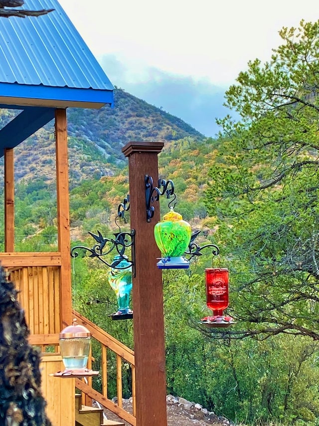 307 Cochise Canyon Trl, Fort Davis, TX 79734 - exterior view of metal roof, mountains, a standing seam roof, and a forest