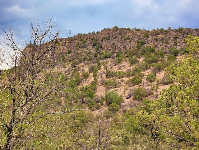 307 Cochise Canyon Trl, Fort Davis, TX 79734 - mountain view