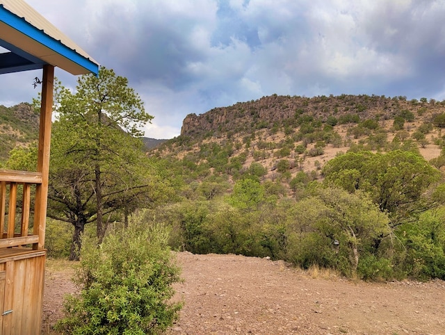 307 Cochise Canyon Trl, Fort Davis, TX 79734 - view of mountain background