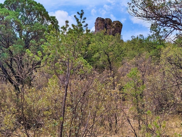 307 Cochise Canyon Trl, Fort Davis, TX 79734 - view of wooded area