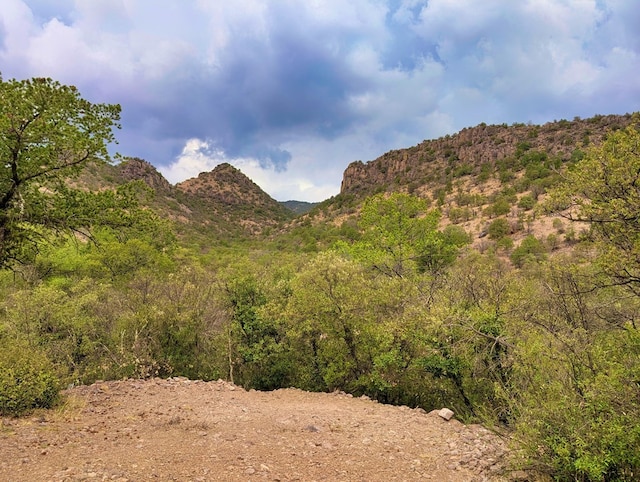 307 Cochise Canyon Trl, Fort Davis, TX 79734 - mountain view
