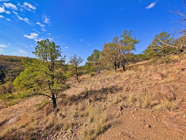 117 Apache Mountain Trl, Fort Davis, TX 79734