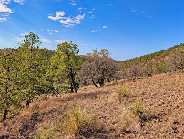 117 Apache Mountain Trl, Fort Davis, TX 79734