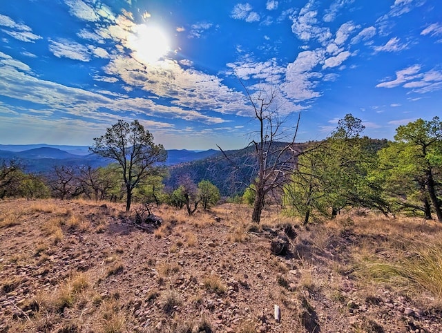 117 Apache Mountain Trl, Fort Davis, TX 79734