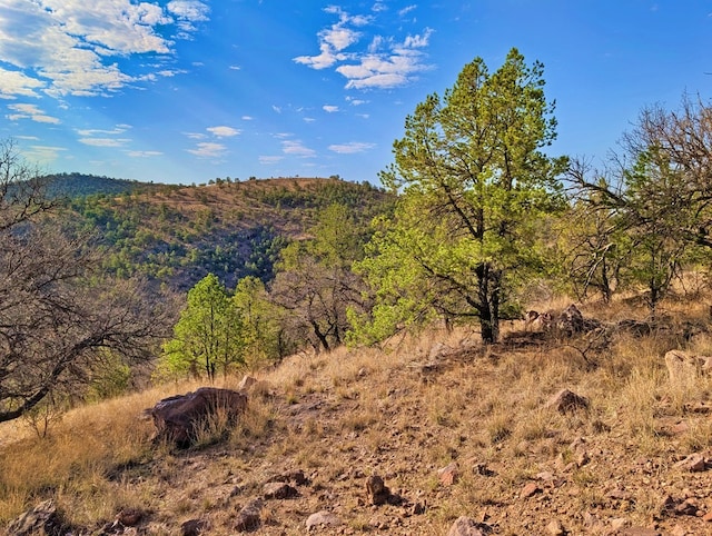 117 Apache Mountain Trl, Fort Davis, TX 79734