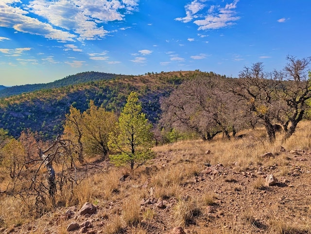 117 Apache Mountain Trl, Fort Davis, TX 79734