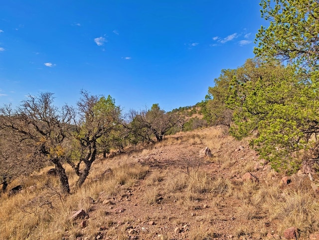 117 Apache Mountain Trl, Fort Davis, TX 79734