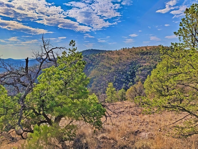 117 Apache Mountain Trl, Fort Davis, TX 79734