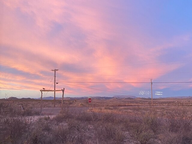 view of nature at dusk