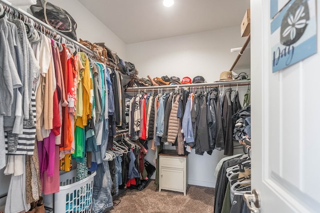 1614 Laguna Meadows Trl, Midland, TX 79705 - spacious closet with carpet flooring